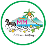 mmagripark.com logo