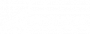 customer logo