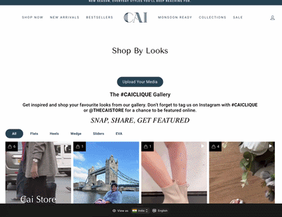 thecaistore.com widget